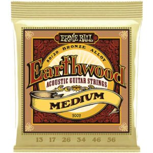 Ernie Ball Earthwood 2002