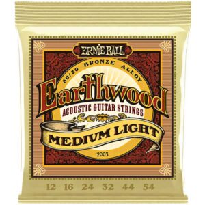 Ernie Ball Earthwood 2003