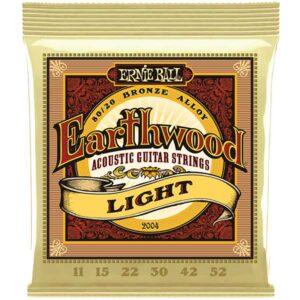 Ernie Ball Earthwood 2004