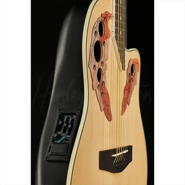 akusticna gitara harley benton hbo 850na
