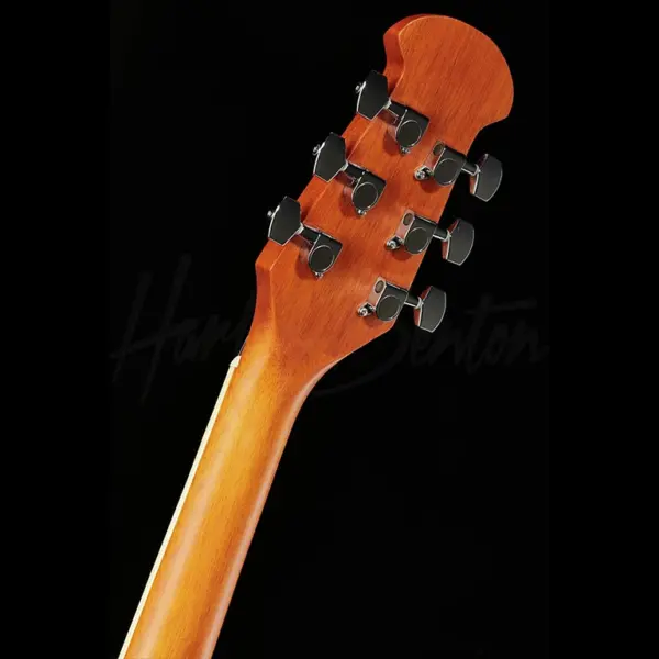 akusticna gitara harley benton hbo 850na