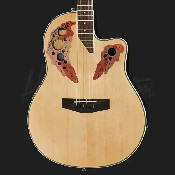 akusticna gitara harley benton hbo 850na