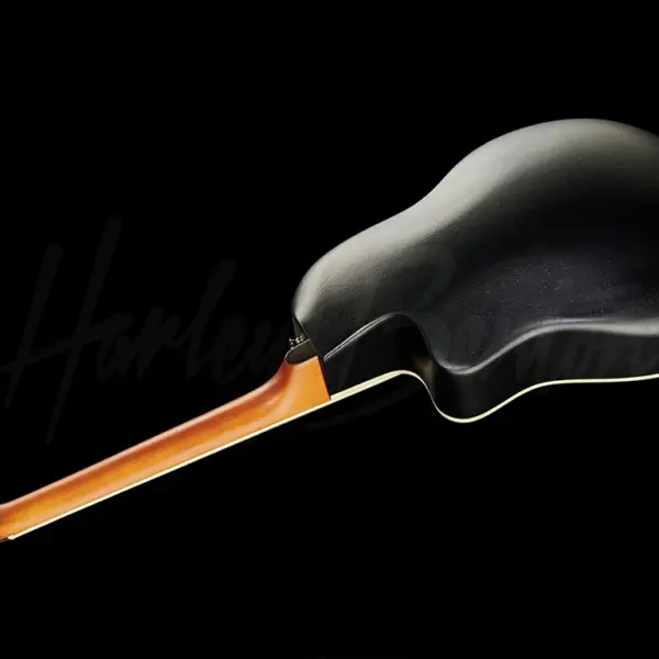 akusticna gitara harley benton hbo 850na
