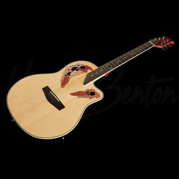 akusticna gitara harley benton hbo 850na