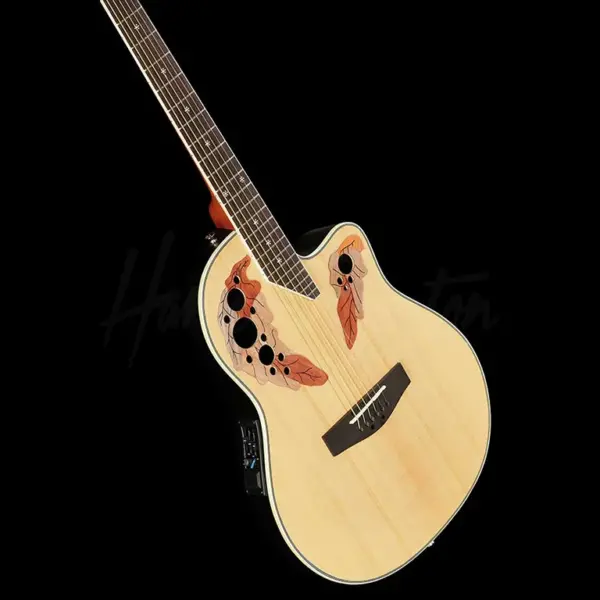 akusticna gitara harley benton hbo 850na