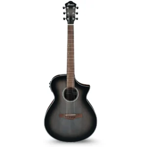 Akusticna gitara Ibanez AEWC11-TCB