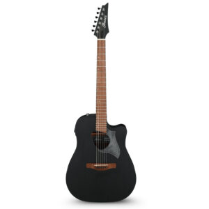 Ibanez ALT20-WK