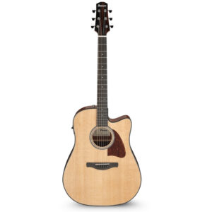 Ibanez AAD51CE-NT