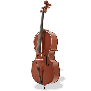 Violoncela