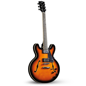 Električne gitare Semi-hollow style