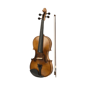 Violine 1/2