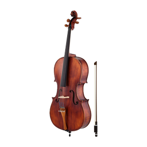 Violončela 3/4